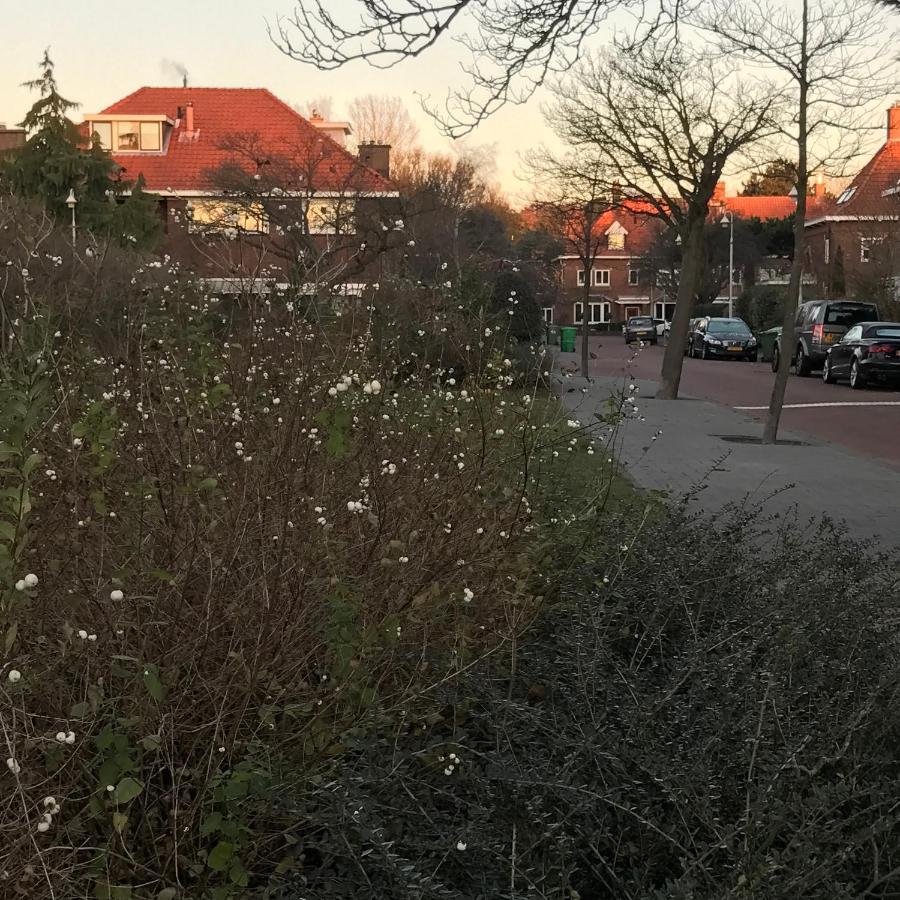 Boutique Hide & Seek, Bed & Beach Bed and Breakfast Den Haag Buitenkant foto