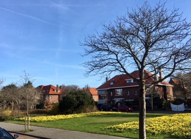 Boutique Hide & Seek, Bed & Beach Bed and Breakfast Den Haag Buitenkant foto